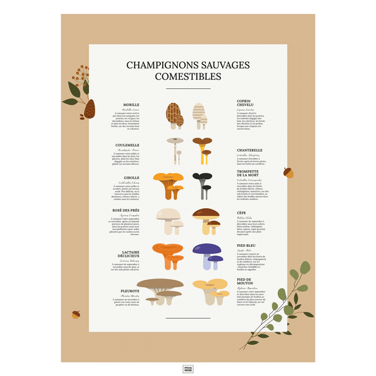 Affiche des champignons comestibles sauvages, où les trouver et en quelle saison