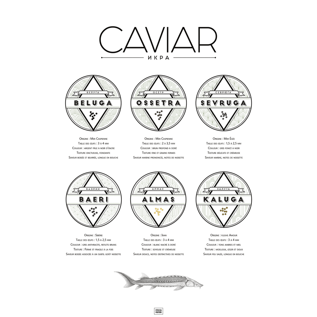 Affiche guide du caviar, des oeufs d'esturgeon beluga, osciètre, sevruga