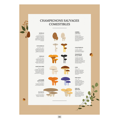 Affiche des champignons comestibles sauvages, où les trouver et en quelle saison