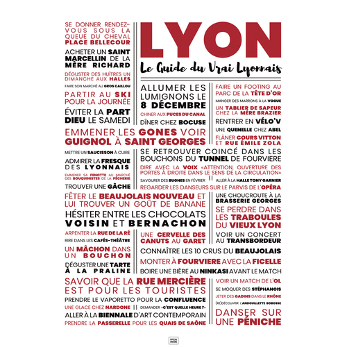 Affiche lyon : le guide du vrai lyonnais, affiche typographique minimaliste