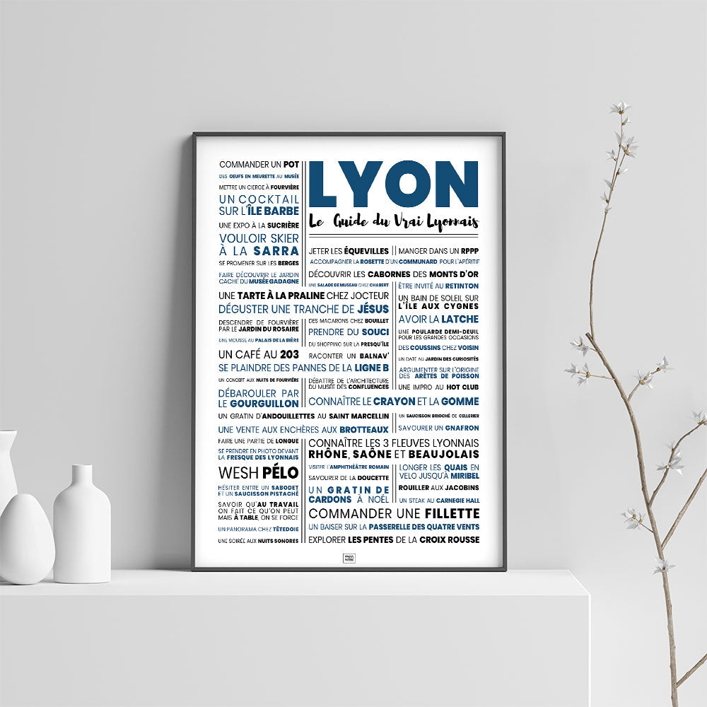 Affiche lyon : le guide du vrai lyonnais - La suite, affiche minimaliste, sur fond clair