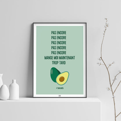 affiche avocat, sur fond clair