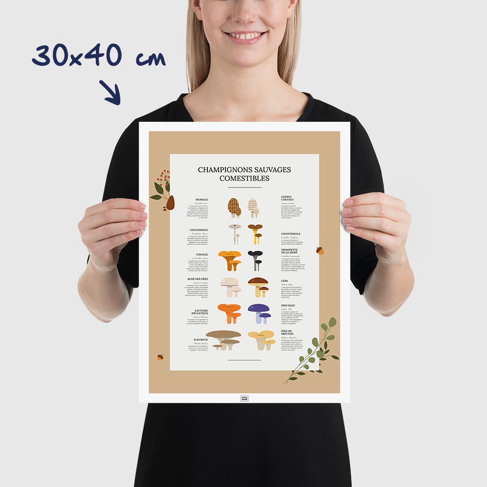 Affiche des champignons comestibles sauvages, dimensions 30x40 cm