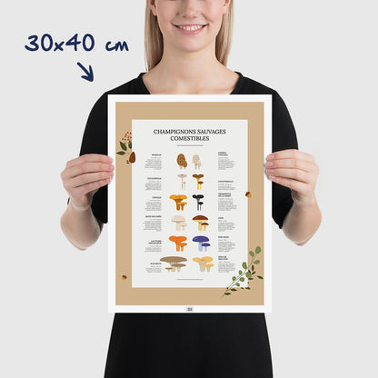 Affiche des champignons comestibles sauvages, dimensions 30x40 cm