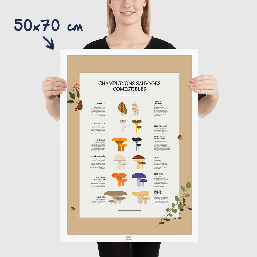 Affiche des champignons comestibles sauvages, dimensions 50x70 cm