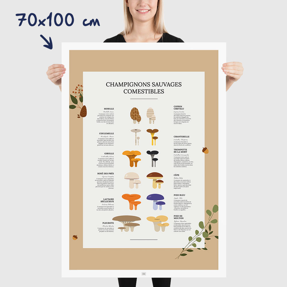 Affiche des champignons comestibles sauvages, dimensions 70x100 cm