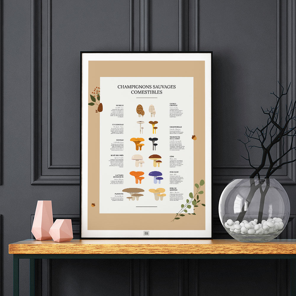 Affiche des champignons comestibles sauvages, sur fond sombre