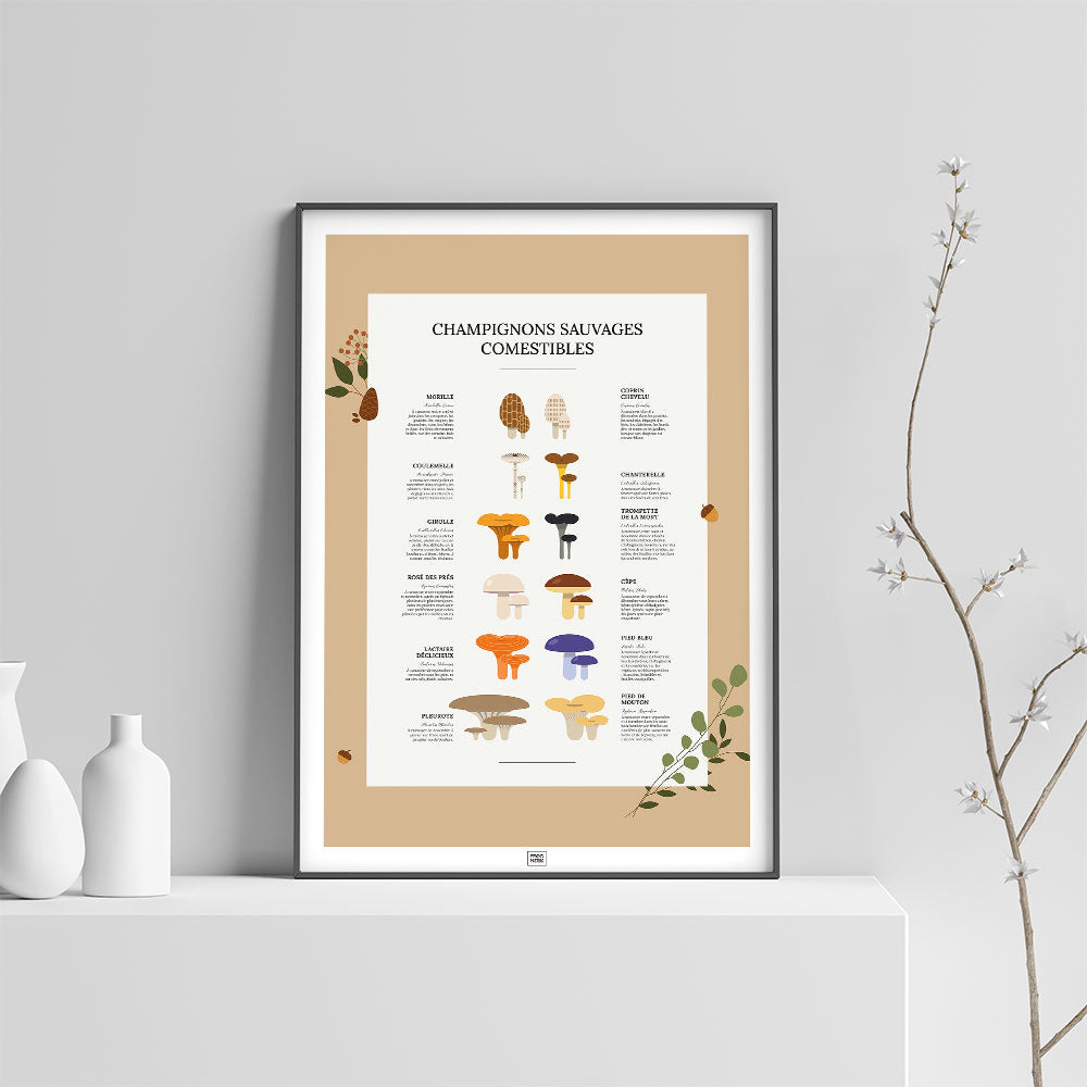 Affiche des champignons comestibles sauvages, sur fond clair