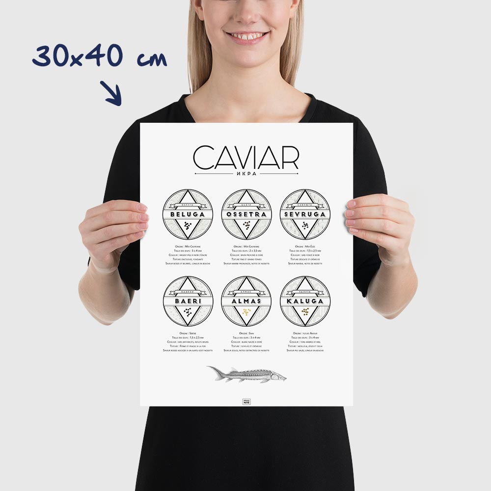 Affiche guide du caviar, des oeufs d'esturgeon beluga, osciètre, sevruga, dimensions 30x40 cm