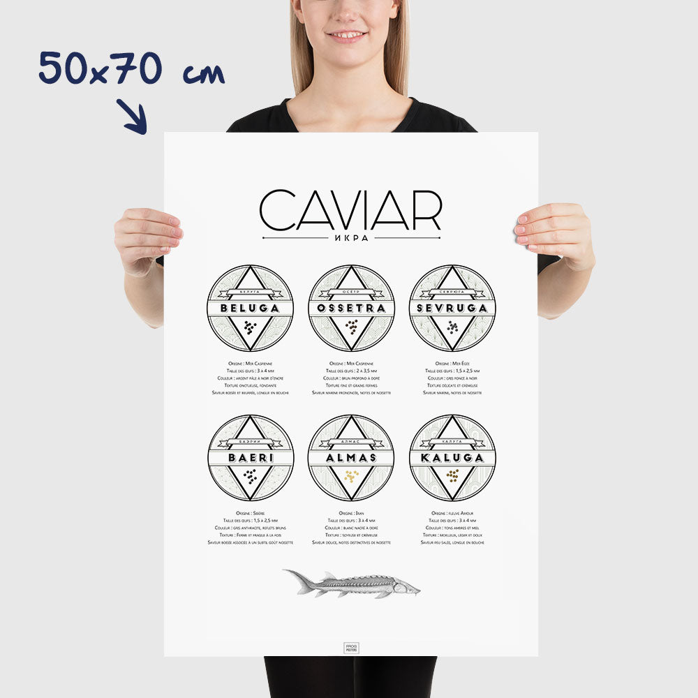 Affiche guide du caviar, des oeufs d'esturgeon beluga, osciètre, sevruga, dimensions 50x70 cm