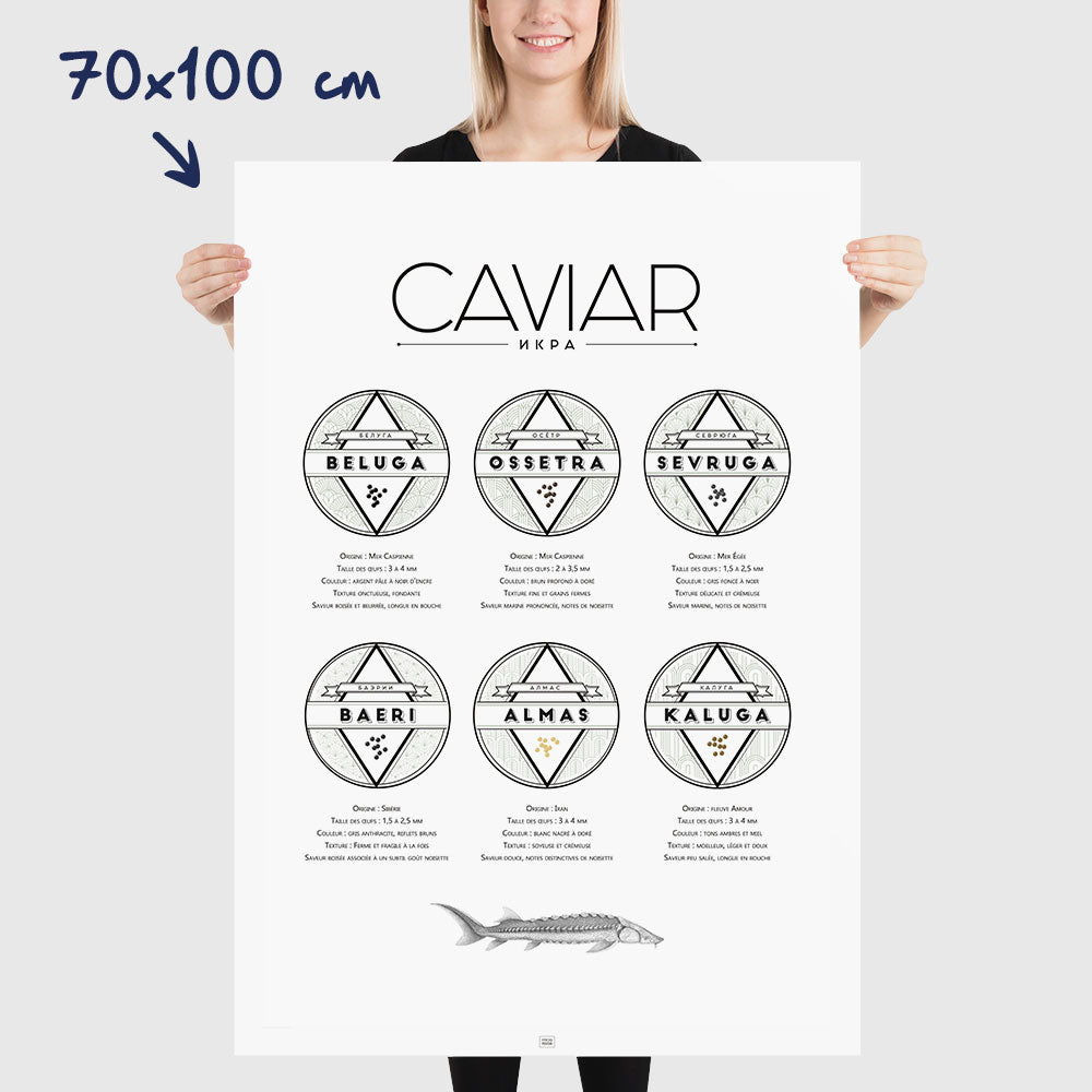 Affiche guide du caviar, des oeufs d'esturgeon beluga, osciètre, sevruga, dimensions 70x100 cm