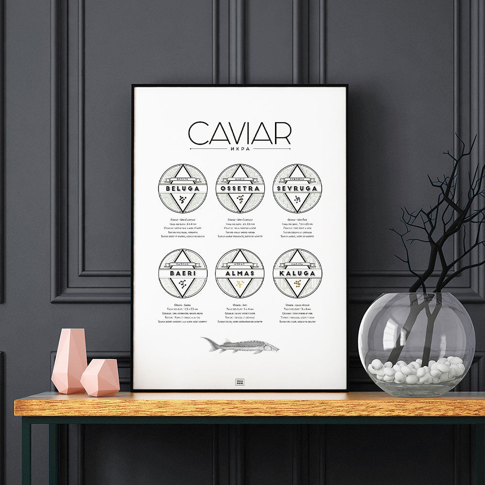 Affiche guide du caviar, des oeufs d'esturgeon beluga, osciètre, sevruga, sur fond sombre