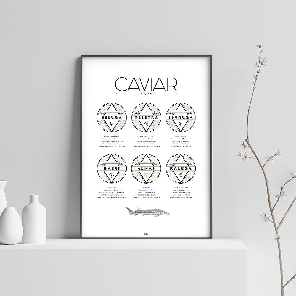 Affiche guide du caviar, des oeufs d'esturgeon beluga, osciètre, sevruga, sur fond clair