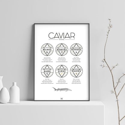 Affiche guide du caviar, des oeufs d'esturgeon beluga, osciètre, sevruga, sur fond clair