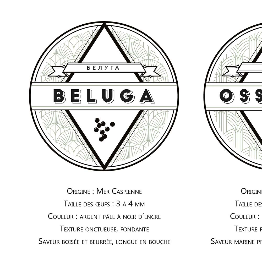 Affiche guide du caviar, des oeufs d'esturgeon beluga, osciètre, sevruga, zoom