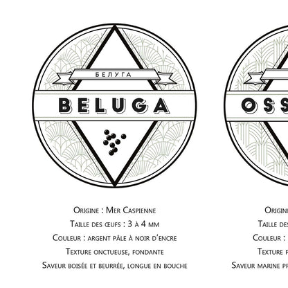 Affiche guide du caviar, des oeufs d'esturgeon beluga, osciètre, sevruga, zoom