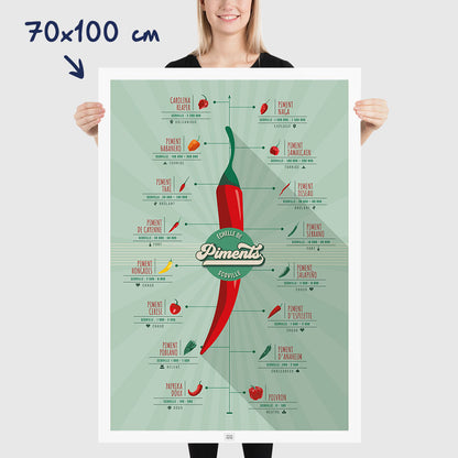 Affiche piments : l'échelle de scoville et la force des piments, dimensions 70x100 cm