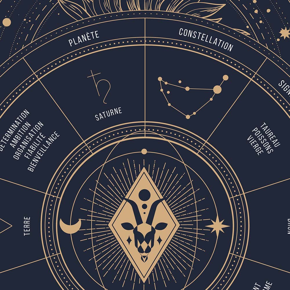 Affiche signe astrologique Capricorne, poster vintage de signe du zodiaque, zoom
