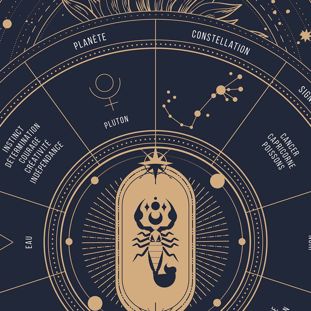 Affiche signe astrologique Scorpion, poster vintage de signe du zodiaque, zoom