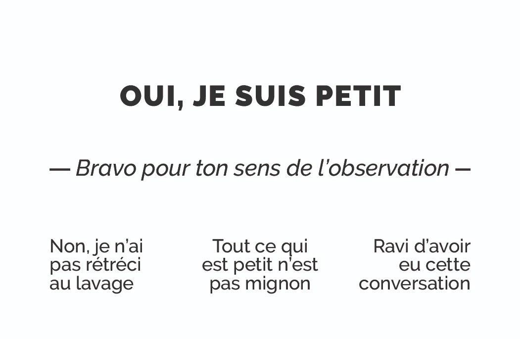 Carte de visite humoristique « Oui, je suis petit » : OUI, JE SUIS PETIT, bravo pour ton sens de l'observation